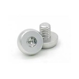 AIP 7075 ALUMINUM GRIP SCREWS FOR TOKIO MARUI 4.3 / 5.1 / TORNILLOS DE SUJECIÓN DE ALUMINIO PLATA