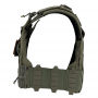 CHALECO CONQUER CQR G2 PLATE CARRIER RANGER GREEN